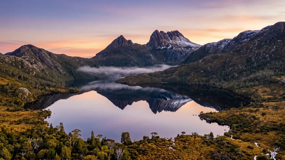 Aerial view of Tasmania's wild west coast rainforest and mountains