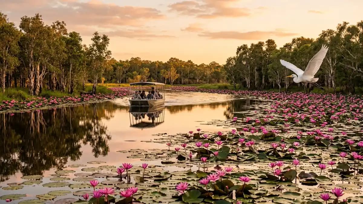 Yellow Waters billabong cruise with water lilies Kakadu National Park