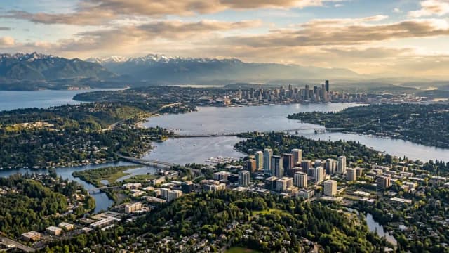 Bellevue aerial view