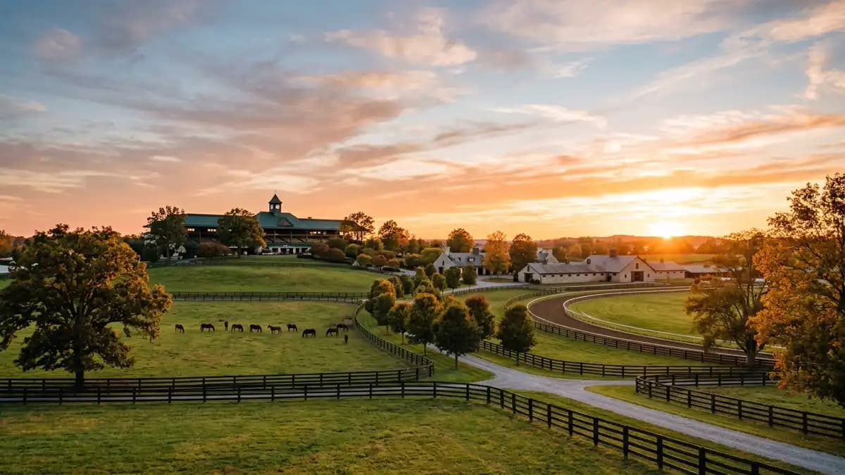Attractions in Lexington
