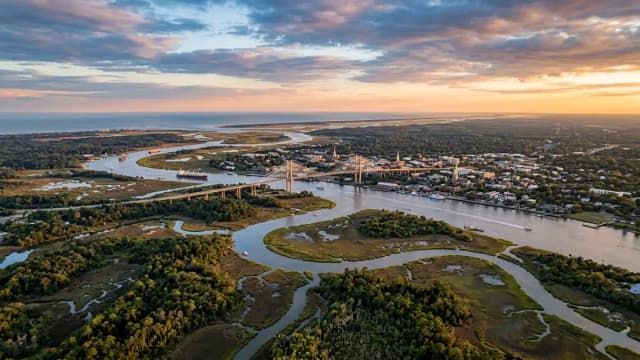 Savannah aerial view