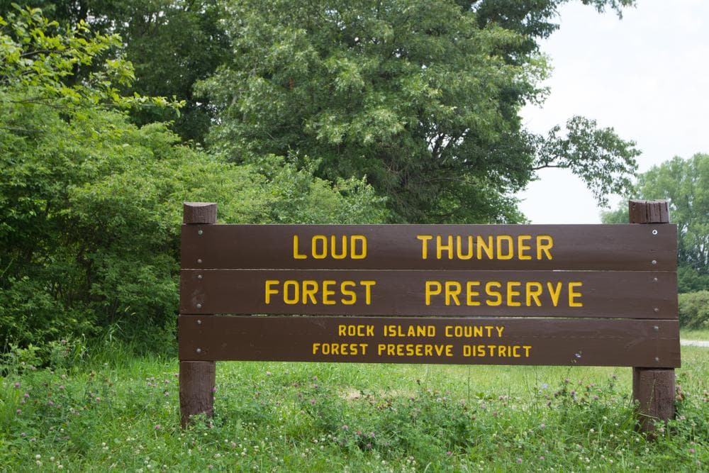 Loud Thunder Forest Preserve