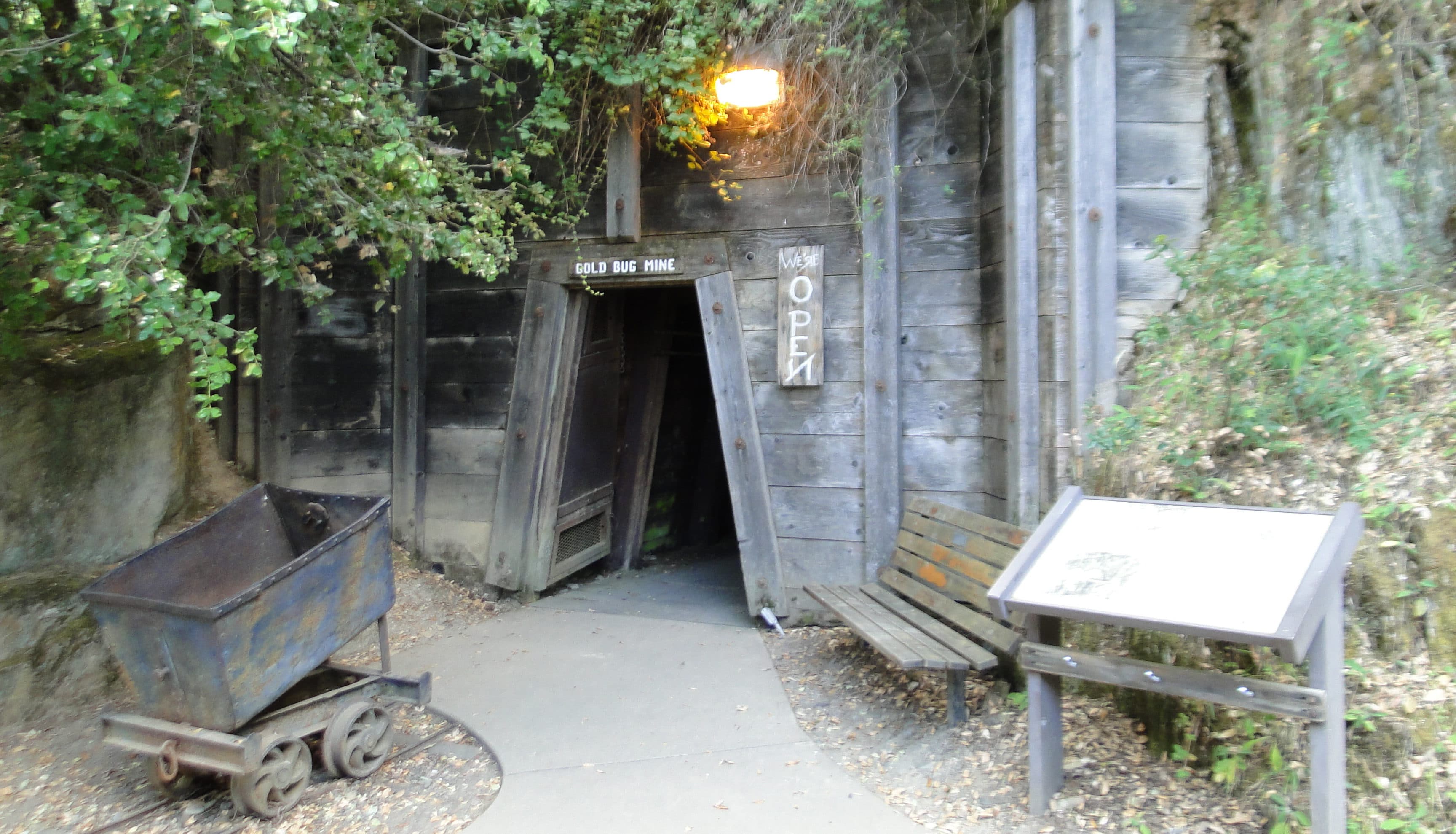 Gold Bug Park & Mine