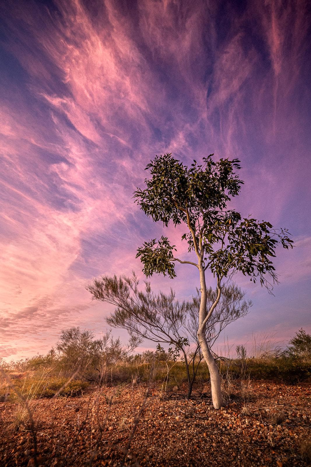 Public toilet facilities in Tennant Creek, NT