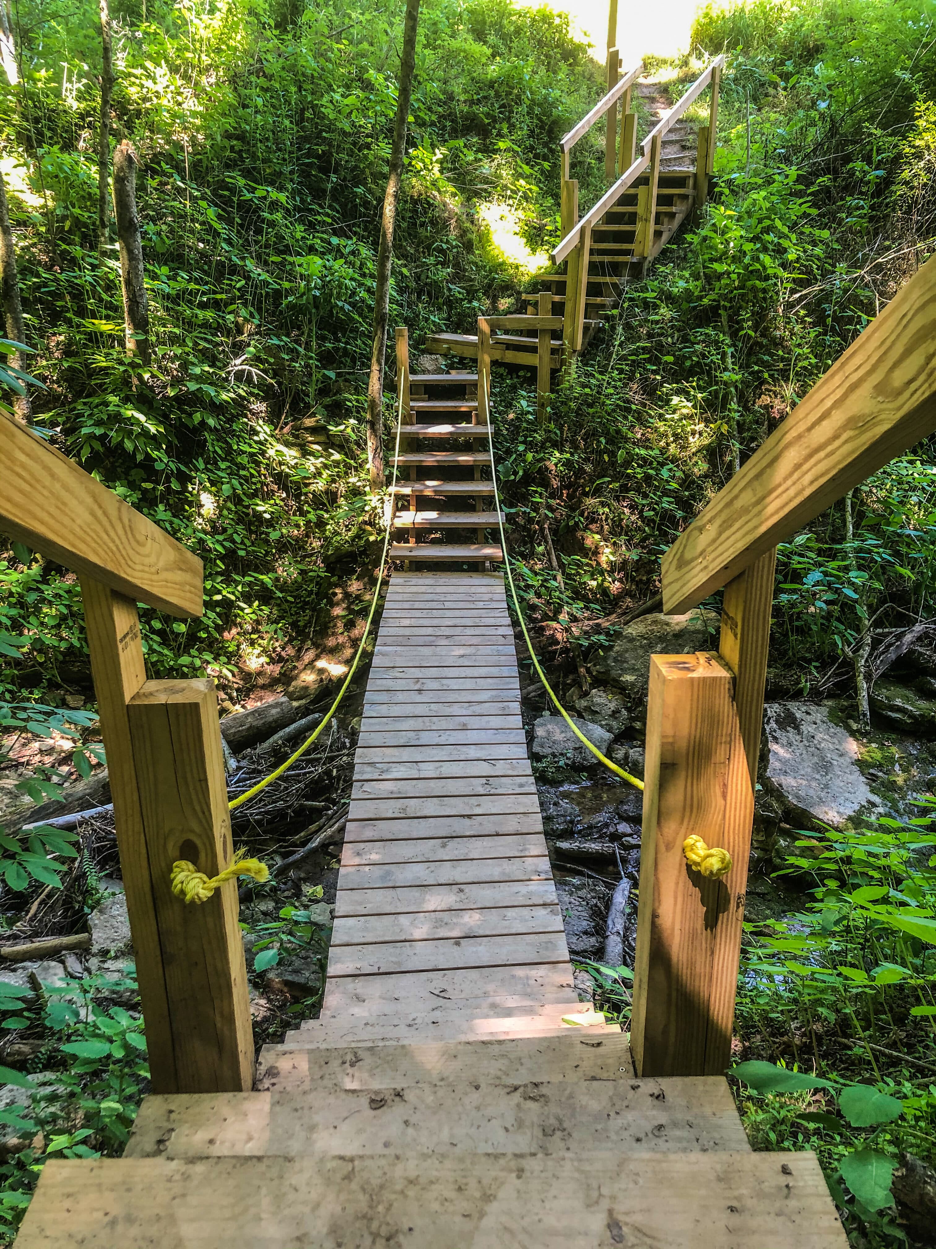 Cummins Nature Preserve