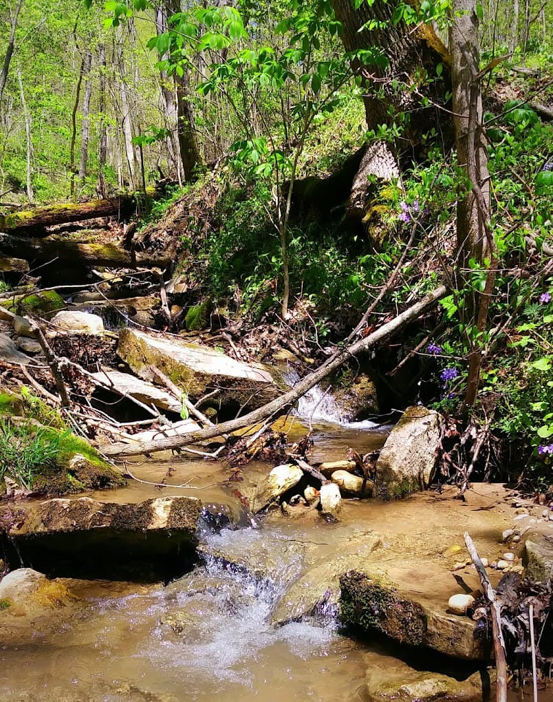Boone County Cliffs State Nature Preserve
