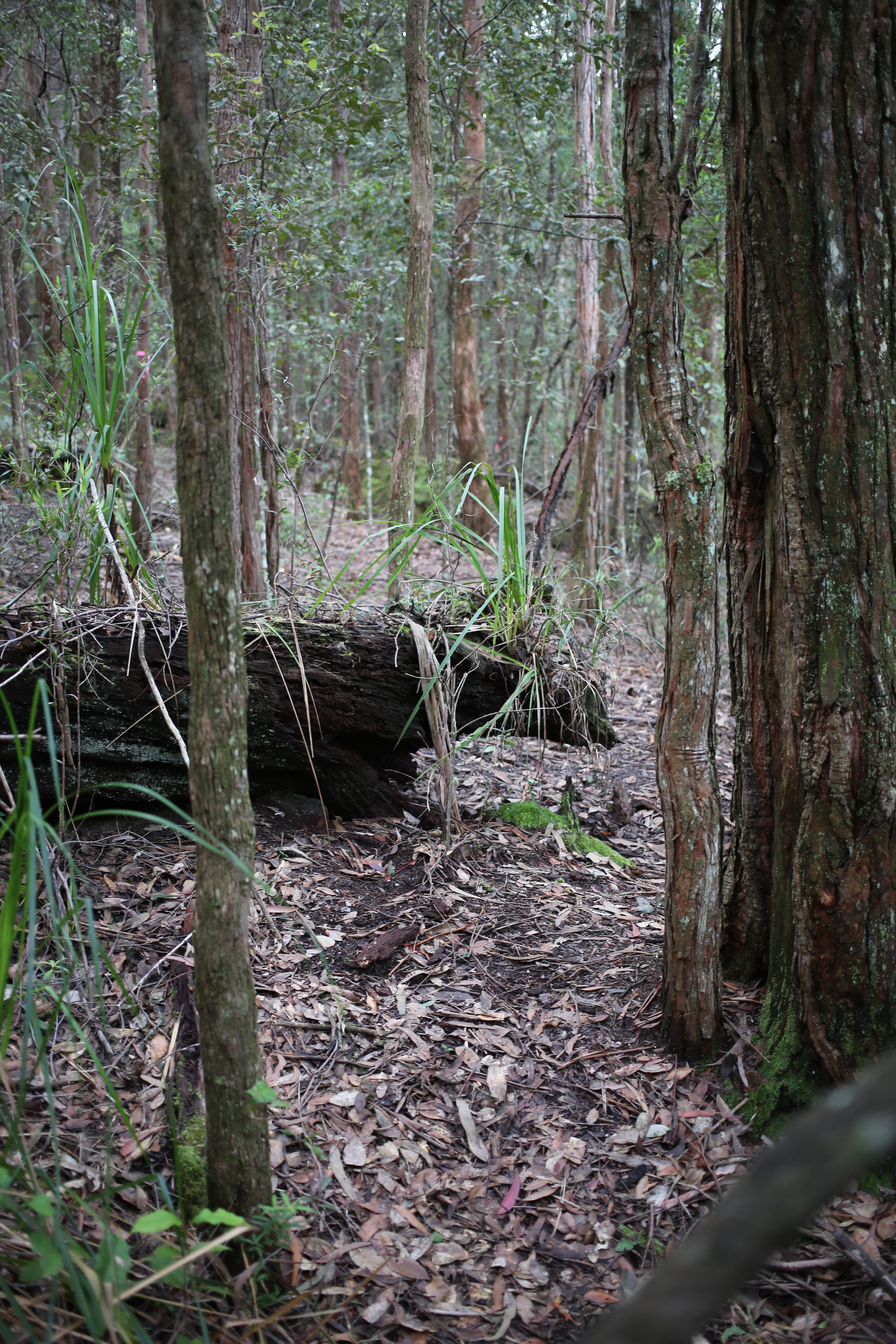 Public toilet facilities in Cambewarra, NSW