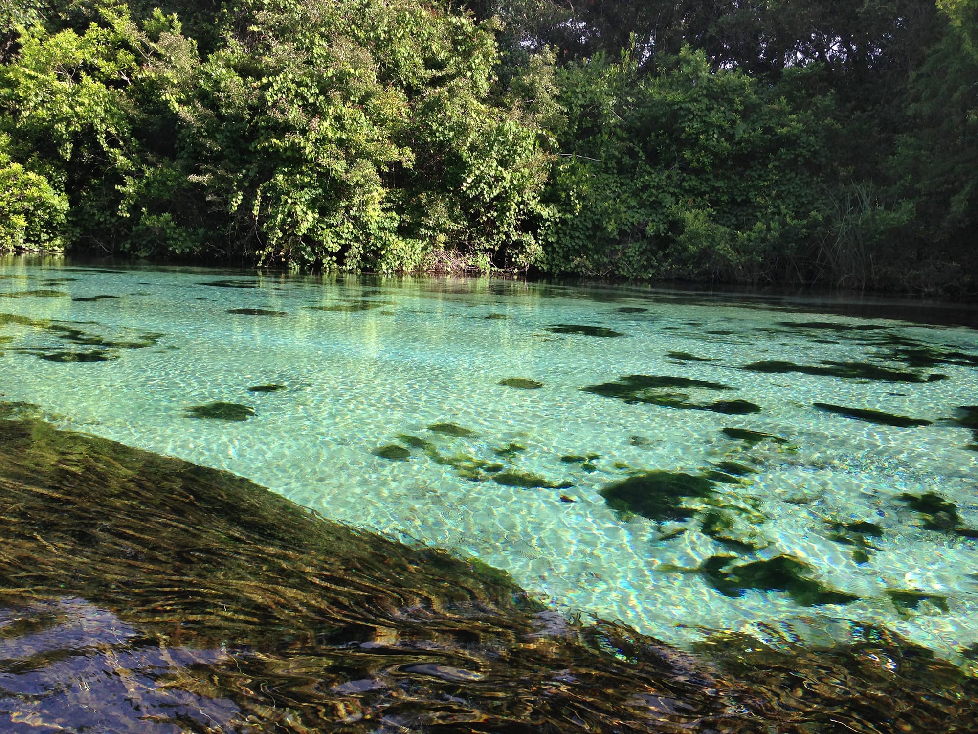 Public restroom facilities in Weeki Wachee Gardens, Florida