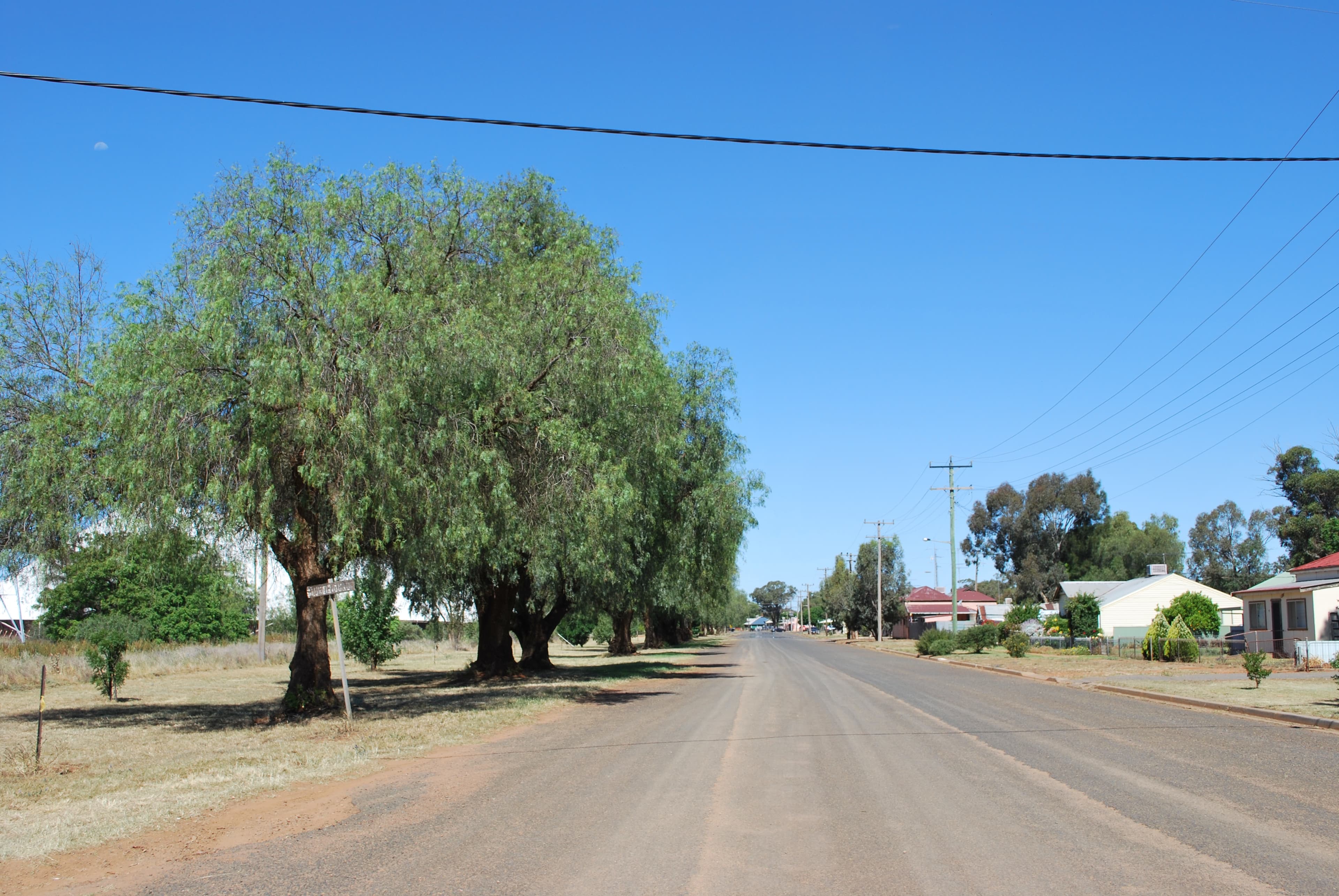 Public toilet facilities in Tullibigeal, NSW