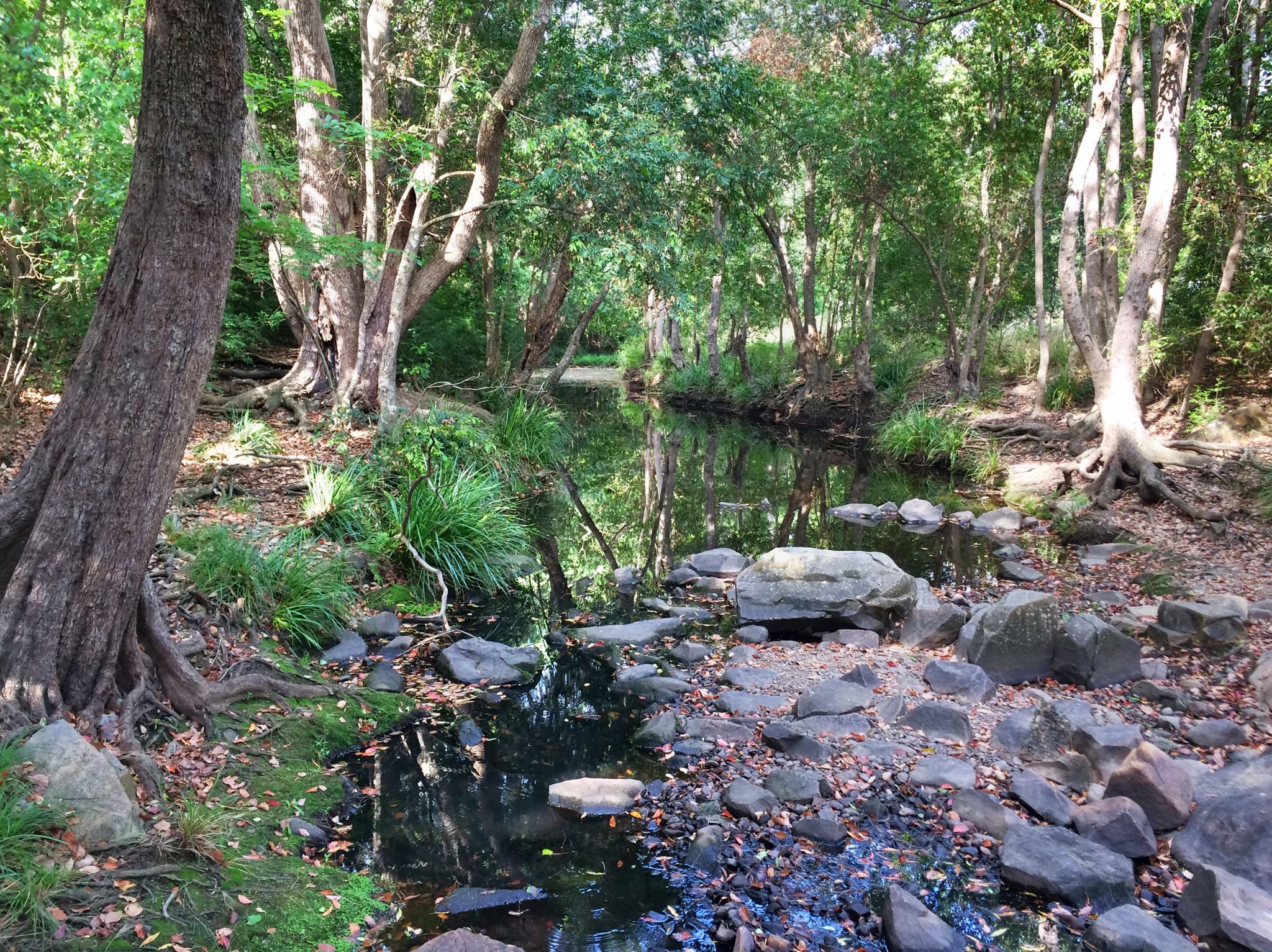 Public toilet facilities in Enoggera, QLD