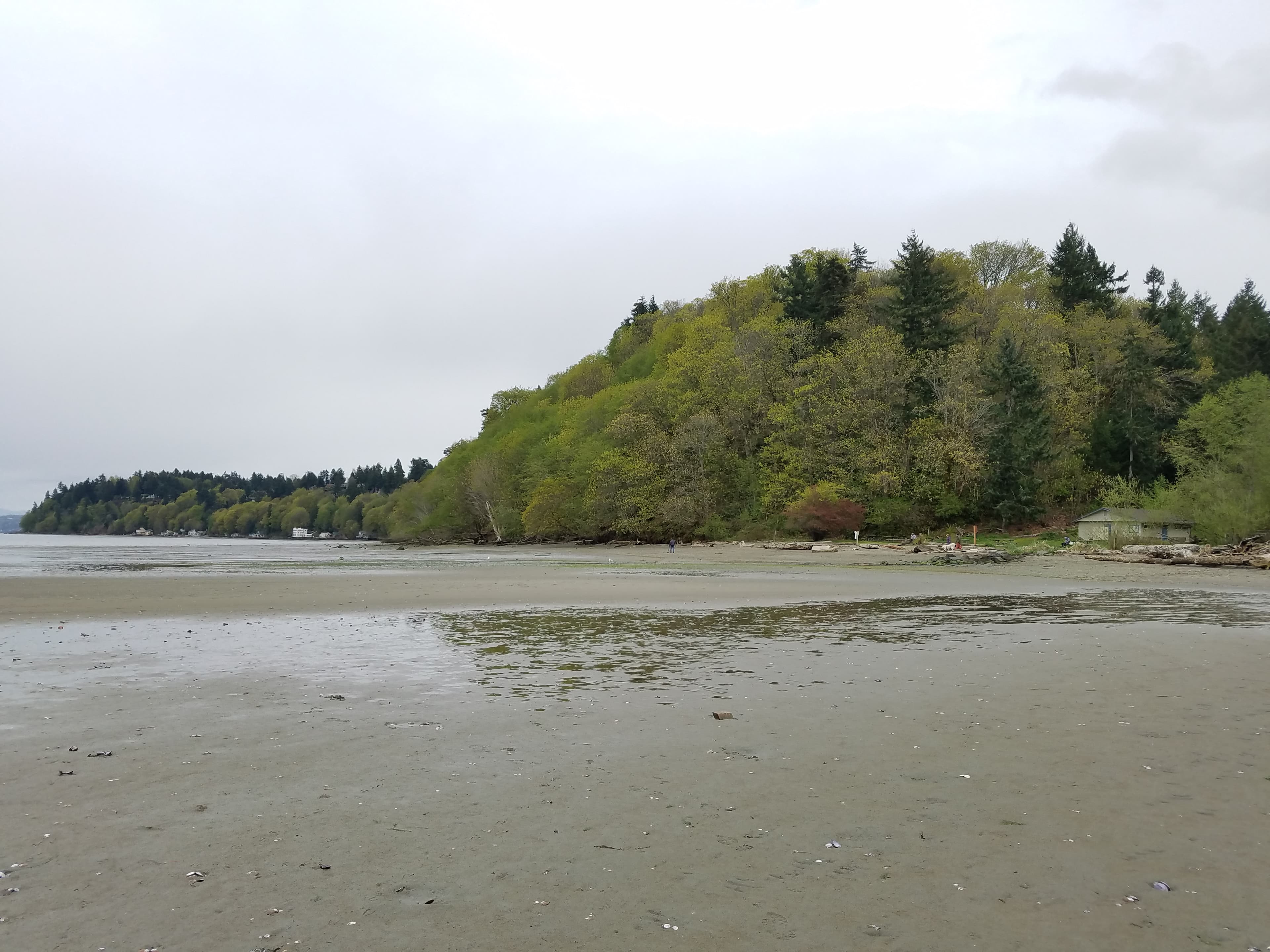 Public restroom facilities in Dash Point, Washington