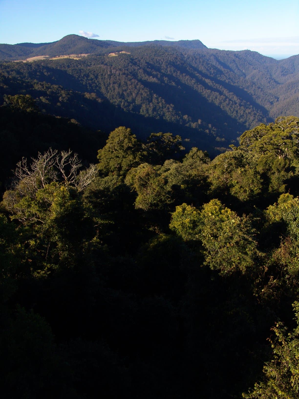 Public toilet facilities in Dorrigo Mountain, NSW