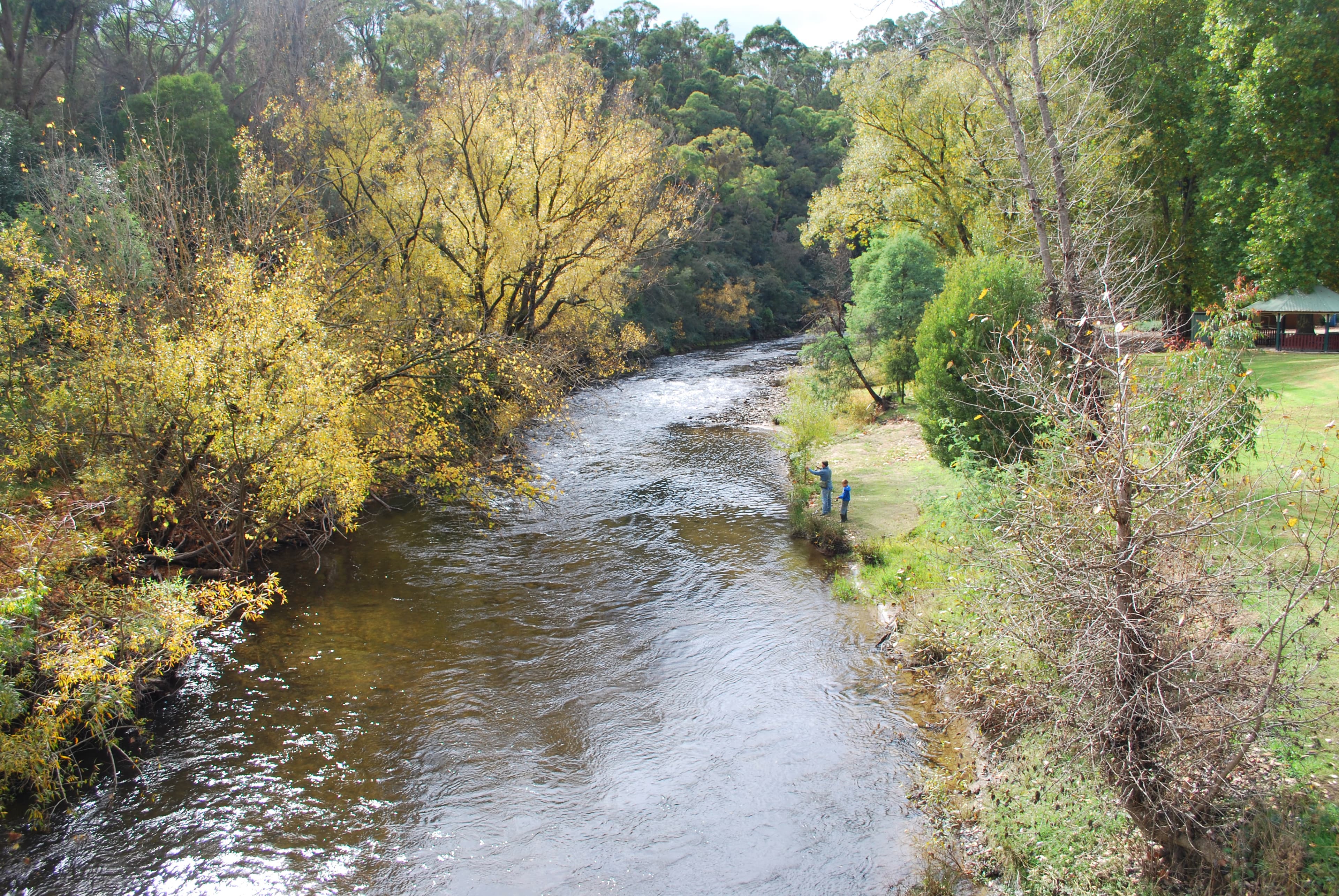 Public toilet facilities in Mitta Mitta, VIC