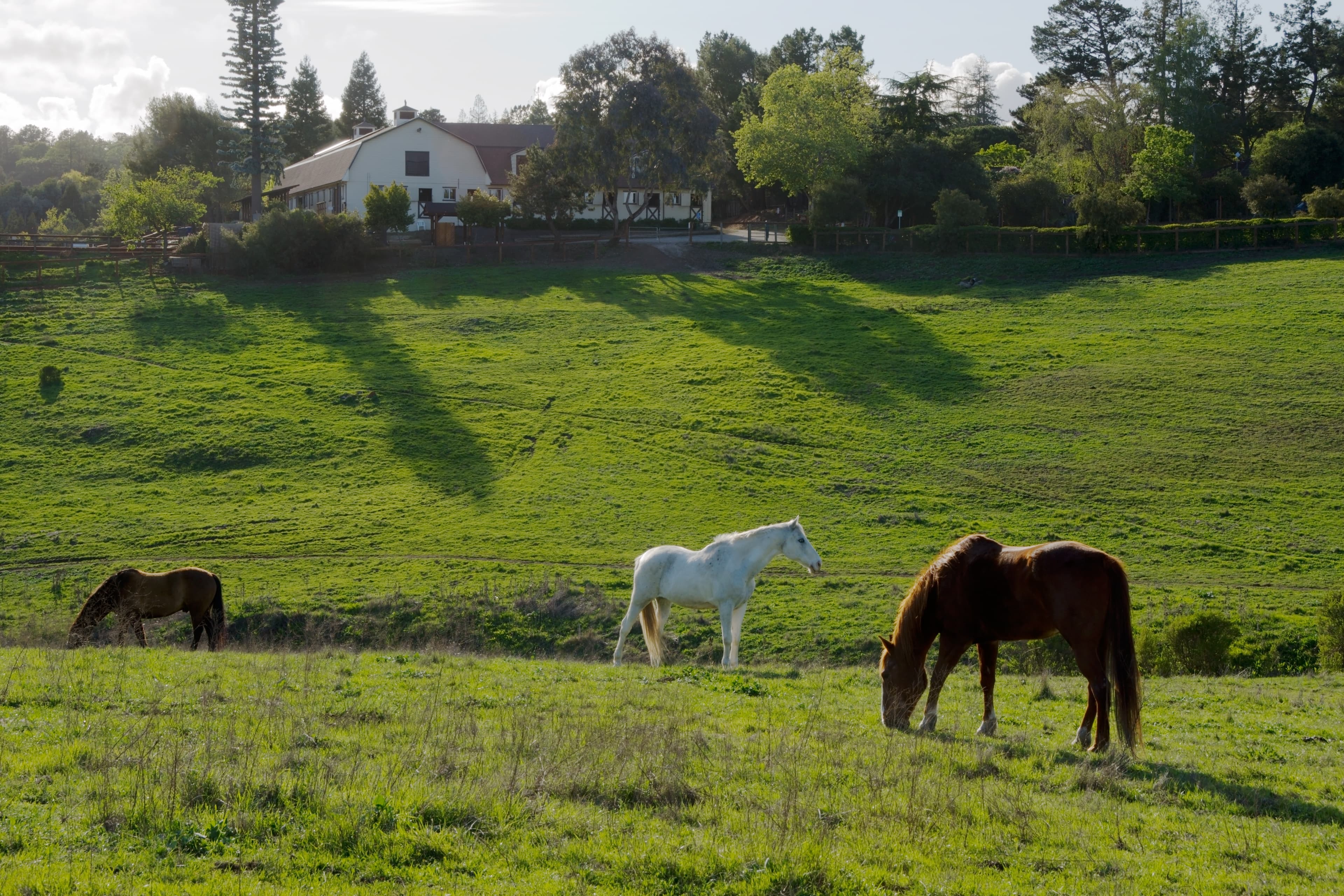 Public restroom facilities in Los Altos, California