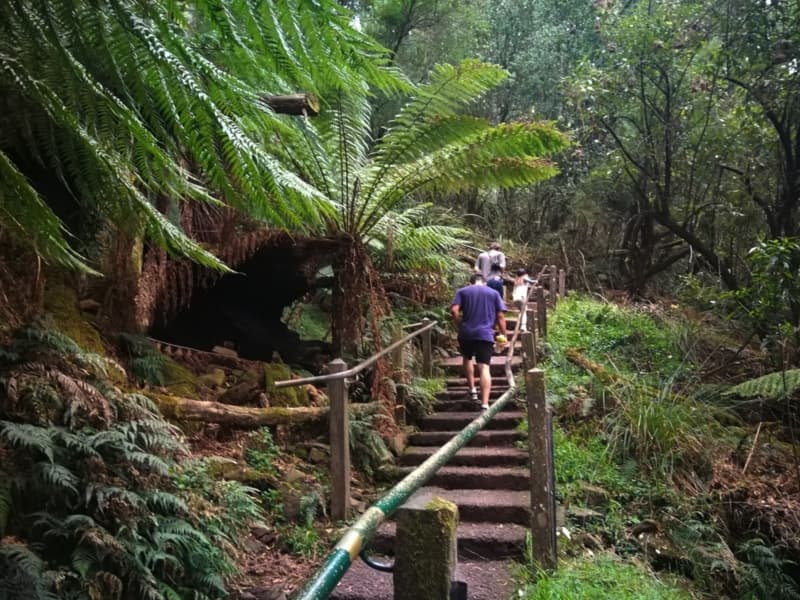 Kokoda Track Memorial Walk