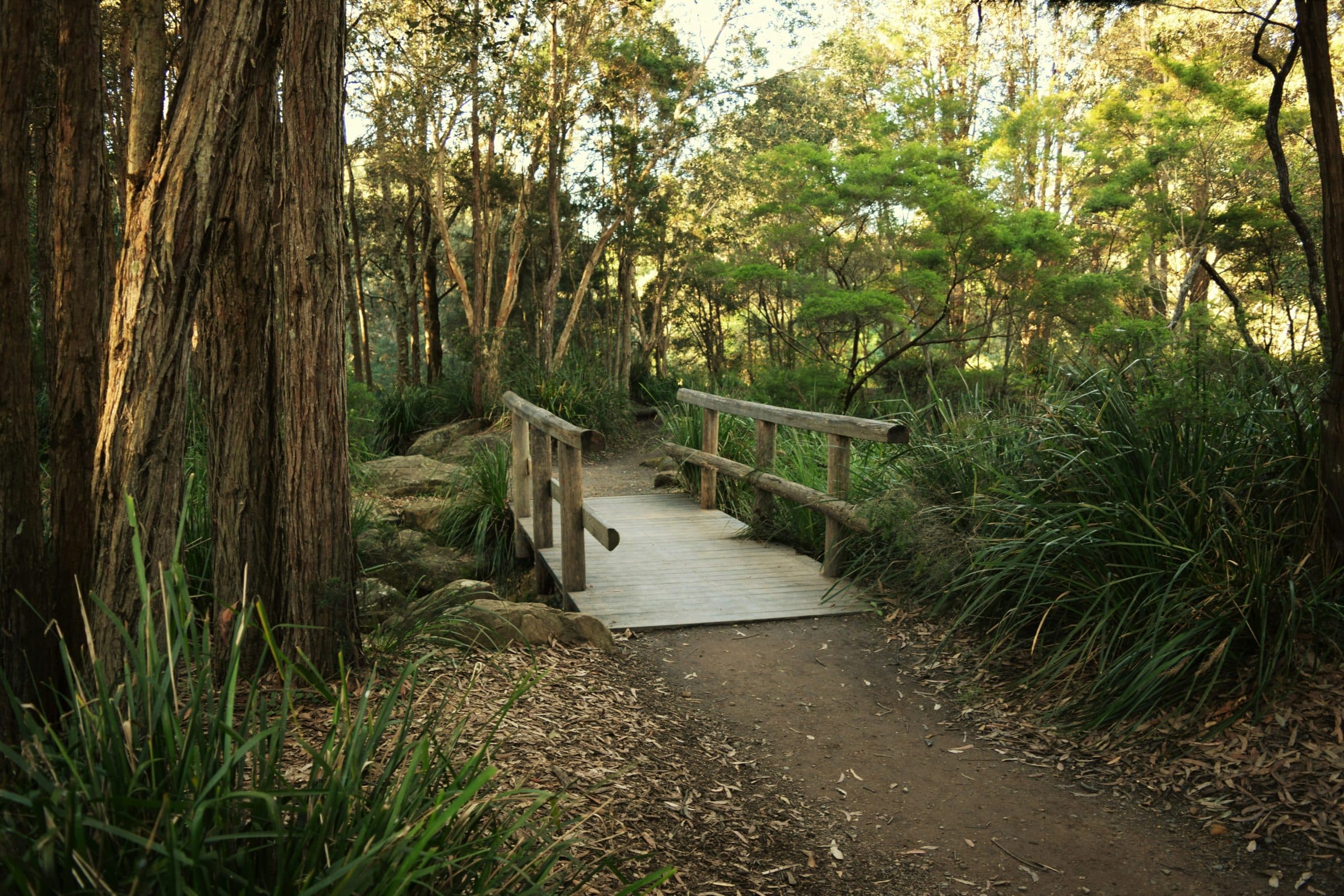 Public toilet facilities in Yanchep, WA