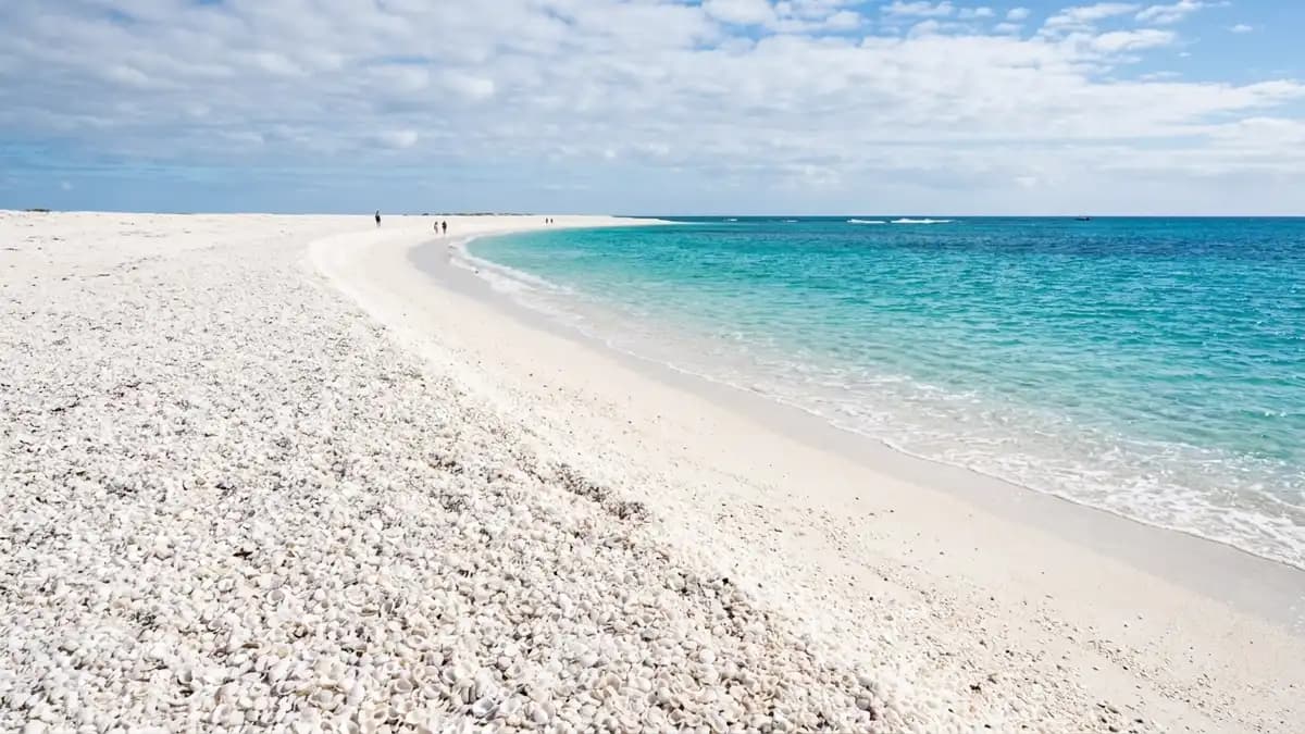 Shell Beach in Shark Bay — a beach made entirely of tiny white cockle shells stretching to the horizon, Western Australia