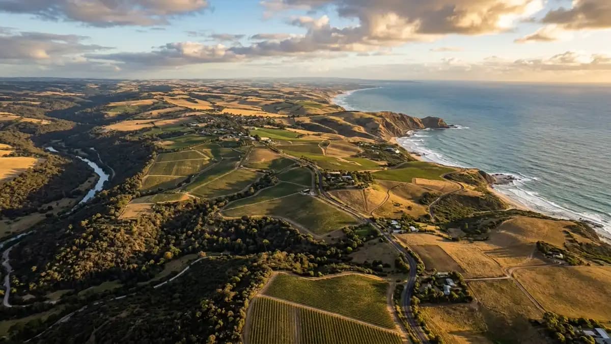 Scenic views of the region surrounding Mclaren Vale