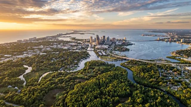 Tampa aerial view