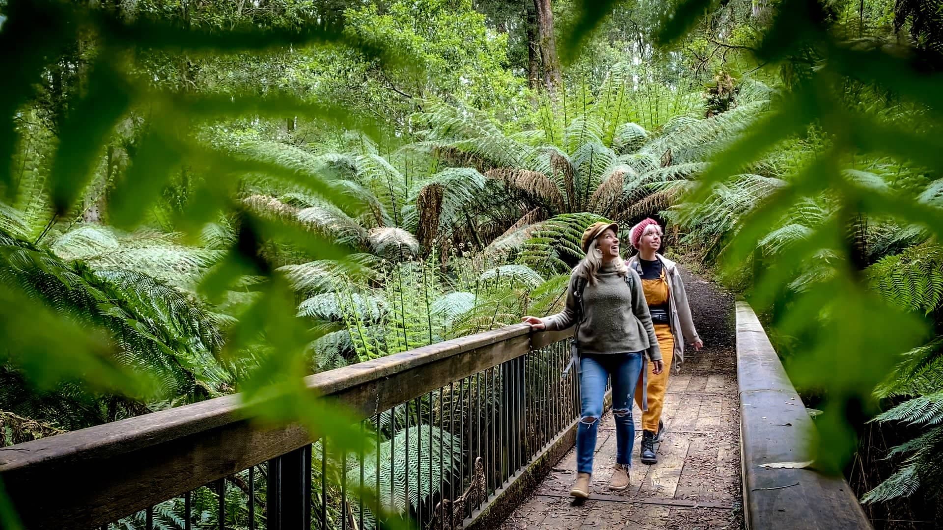 Melba Gully (Parks Victoria)