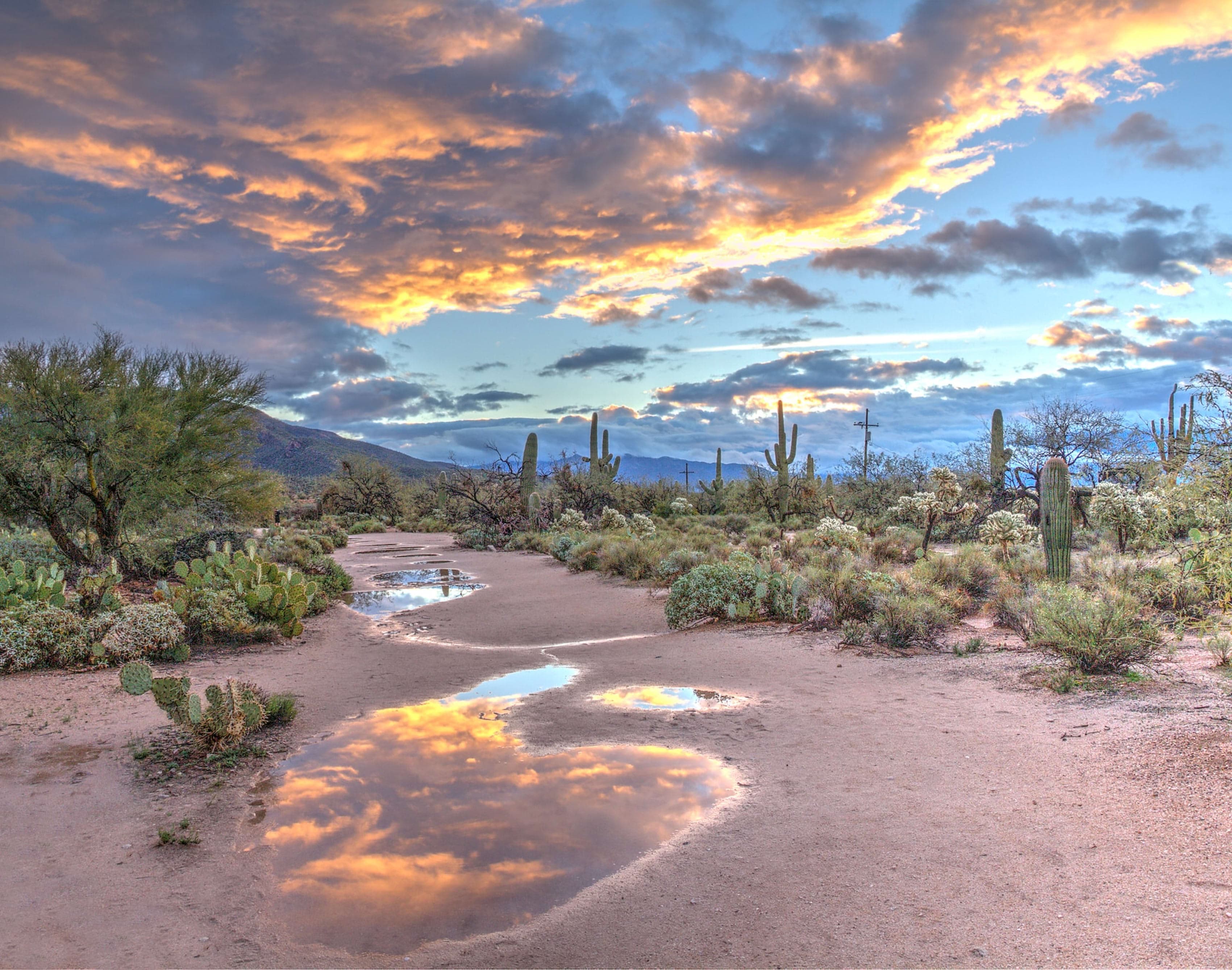 Public restroom facilities in Anthem, Arizona