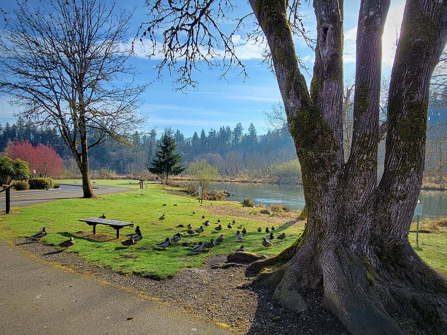 Tumwater Historical Park