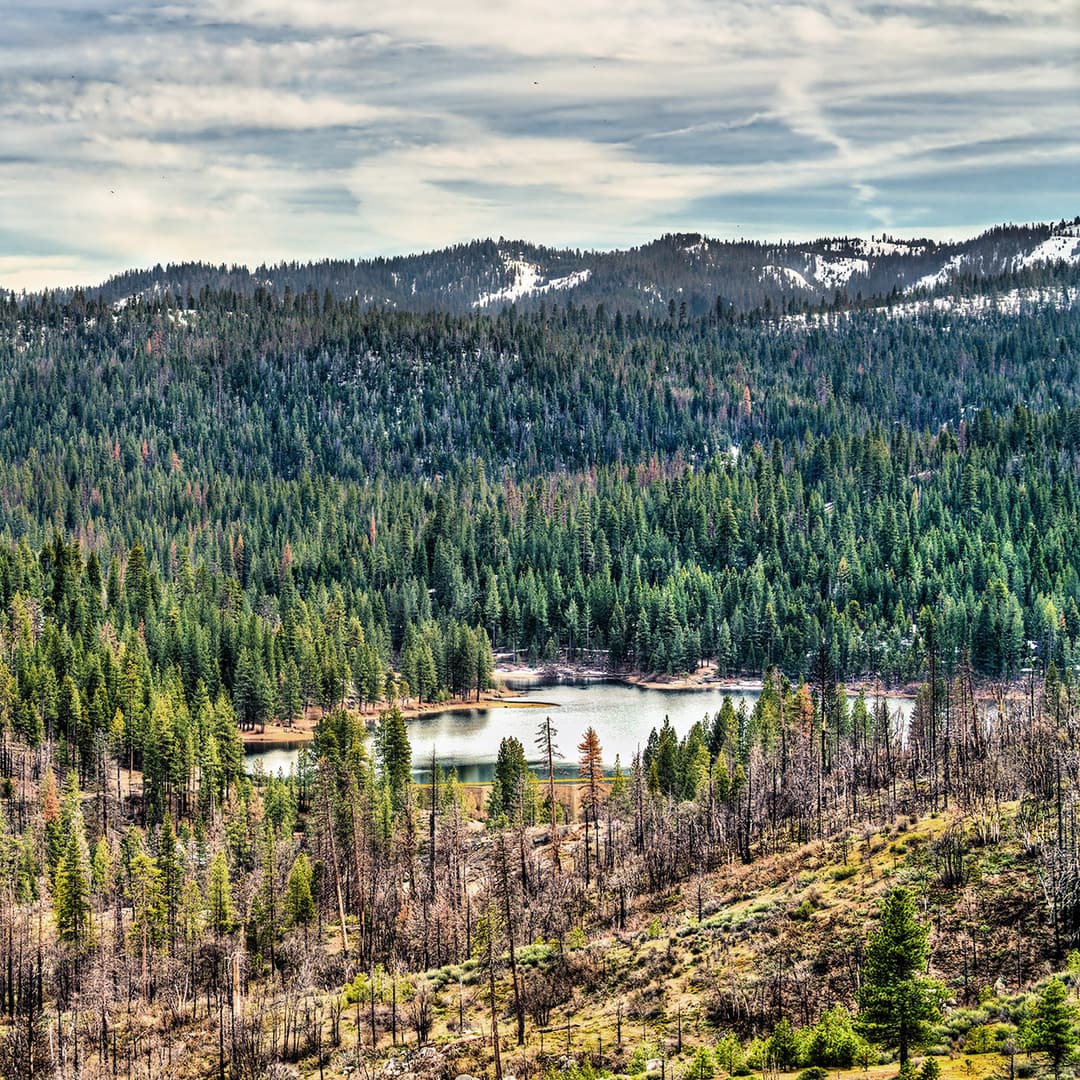 Vista Point of Hume Lake