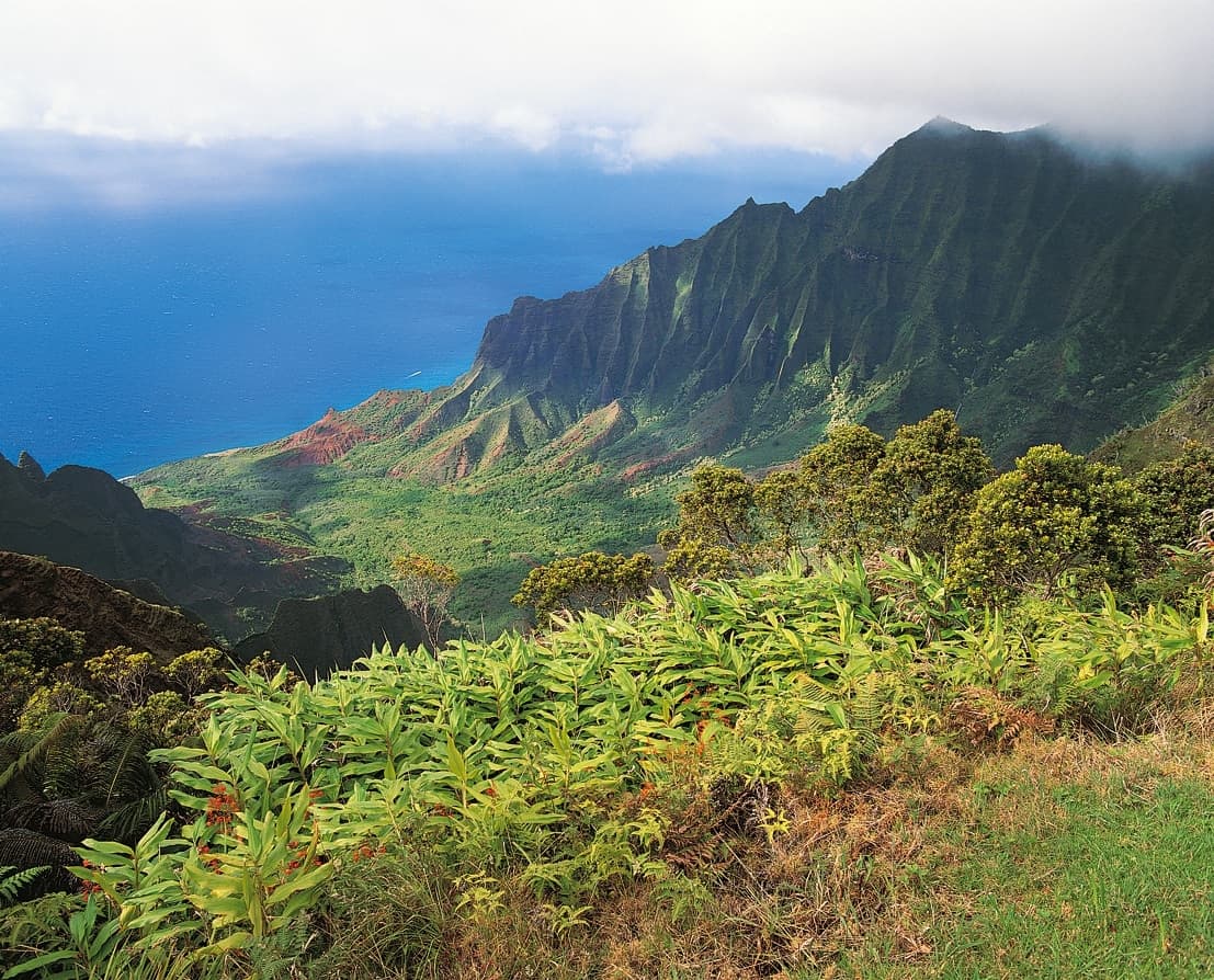 Public restroom facilities in Pahala, Hawaii