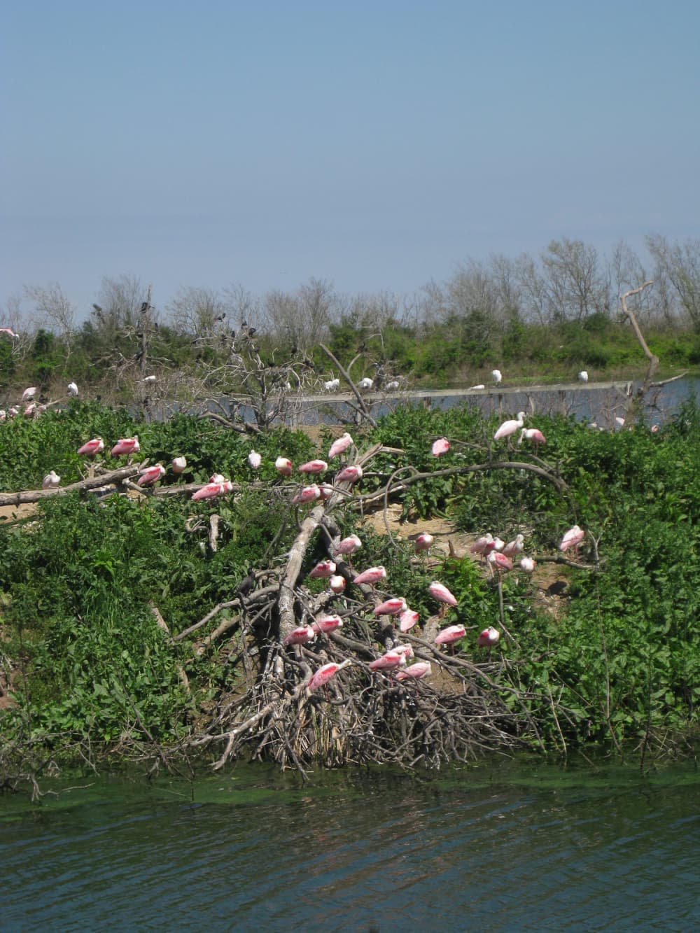 Public restroom facilities in High Island, Texas