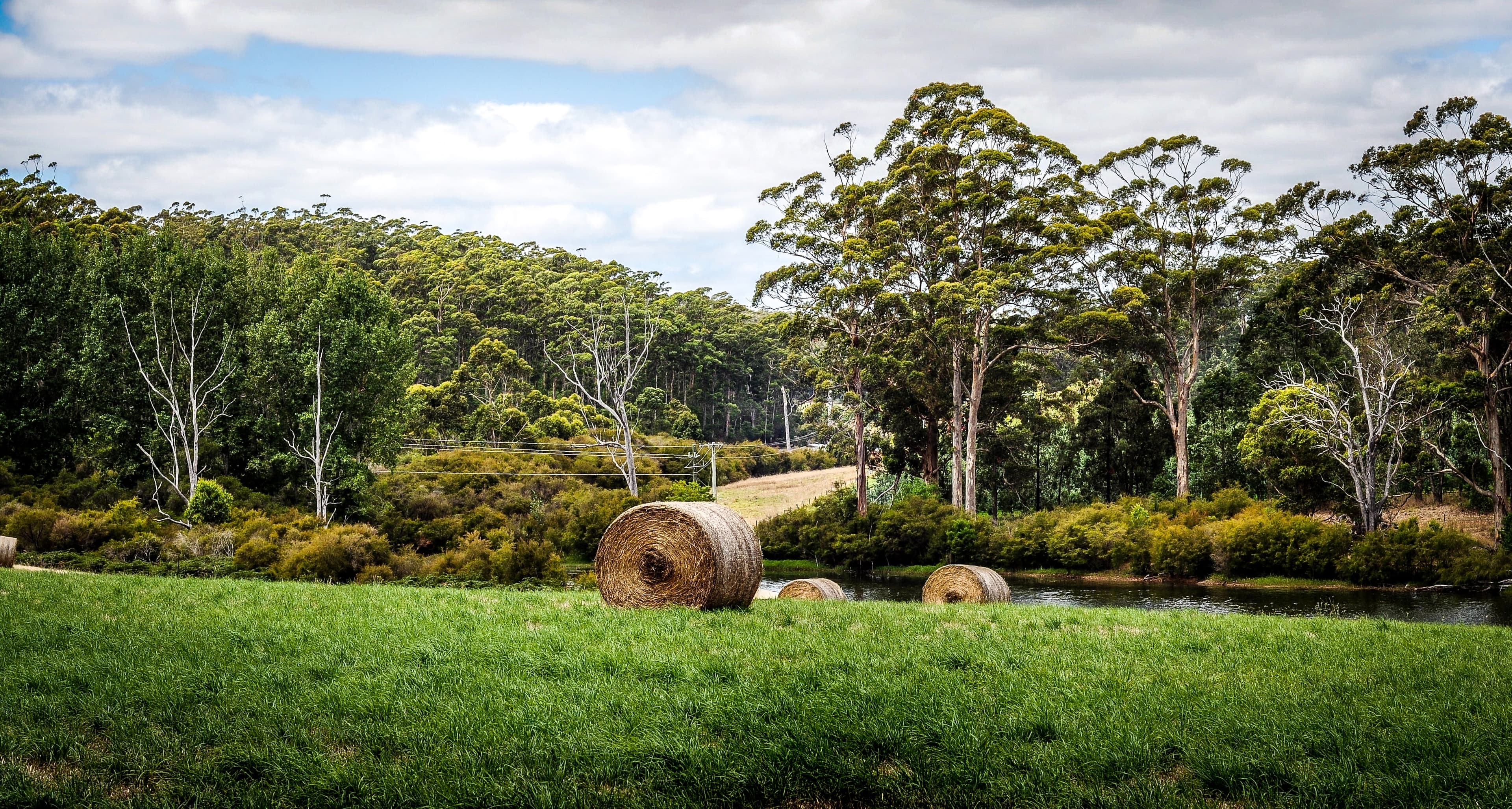 Public toilet facilities in Tallangatta, VIC